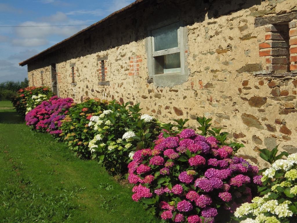 A La Haute Bouillere Chavagnes-les-Redoux Exterior foto