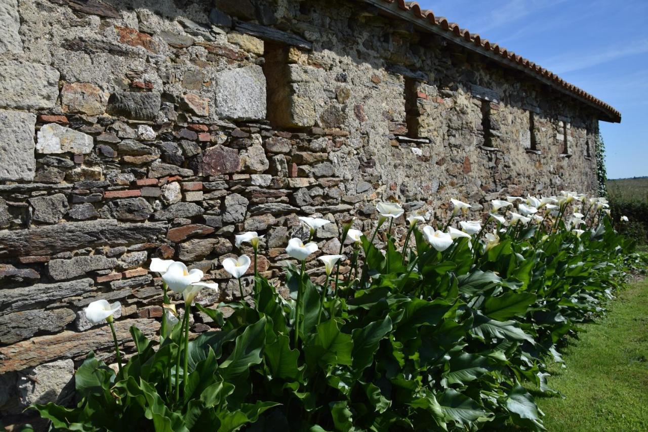 A La Haute Bouillere Chavagnes-les-Redoux Exterior foto